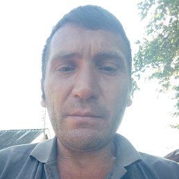, 40, 