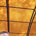 ���� ������, �����, 51 ��� - ��������� 4 ���� 2026 � ������ ���� ����������