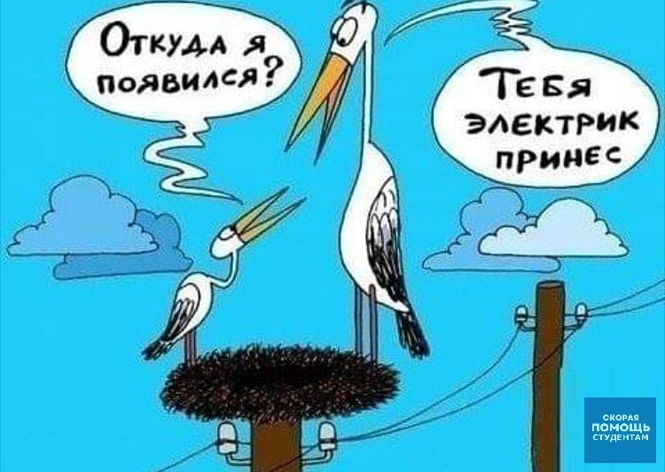  - 2  2024  00:49