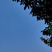 �������, 25 ���, ������