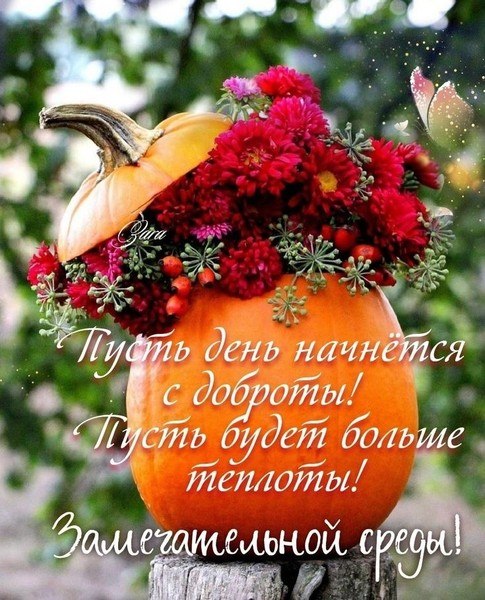 Zv   !!! V - 1  2025  17:03