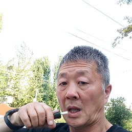 , 52, 