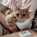 ���� &hearts;����&hearts;, �������������� - ��������� 13 ������ 2025 � ������ ������ ��������