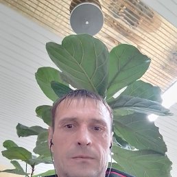  , 41, 