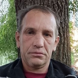 , , 50 