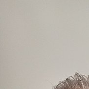 �����, 59 ���, ���������