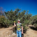 Фото Андрей, Нижний Тагил, 45 лет - добавлено 9 октября 2025