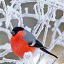 ���� �������, ������ �������� - ��������� 19 ������� 2025