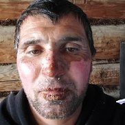 �������, 40 ���, �����