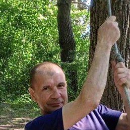, 45, 