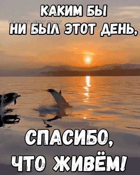   - 17  2025  18:17