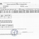 ���� �����, ������, 43 ���� - ��������� 21 ���� 2024 � ������ ���� ����������