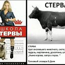 ���� �����, ������, 51 ��� - ��������� 3 ��� 2025 � ������ ��������