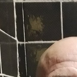 �������, �����, 47 ���