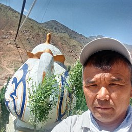 , 51, 
