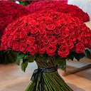 Фото Соня, Ростов-на-Дону, 29 лет - добавлено 8 августа 2025