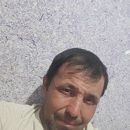 , 36, 