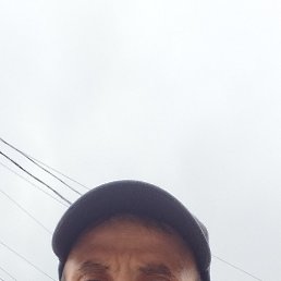 , 37, 