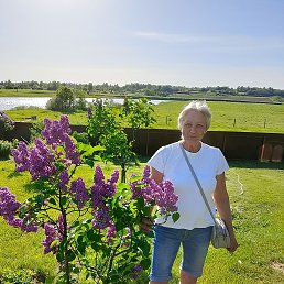 , 66, 
