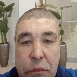 ������, ���, 51 ���