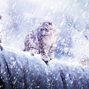 ���� �������, ���������, 51 ��� - ��������� 30 ������� 2023 � ������ ���� ����������