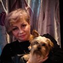 ���� �����, �������� - ��������� 26 ������� 2024 � ������ ���� ����������