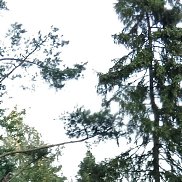 , 64 , 