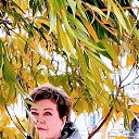 ���� ������, ������, 55 ��� - ��������� 4 ������ 2023 � ������ ���� ����������