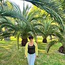 ���� ������, ������ - ��������� 6 ���� 2024 � ������ ���� ����������