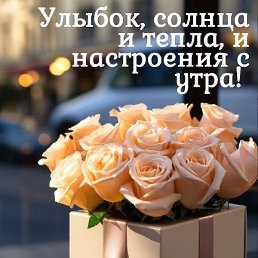 ������, ����, 41 ���