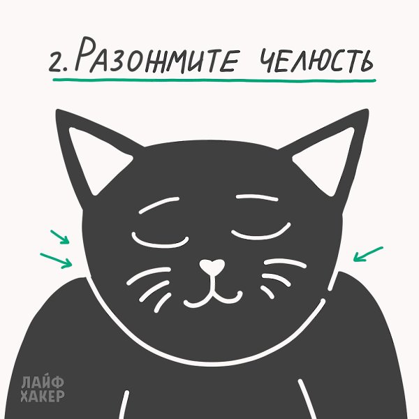    . - 3