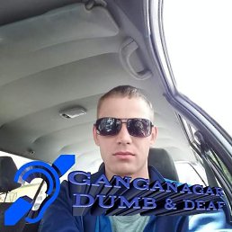   , 31, 