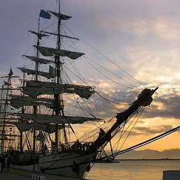 Oleg, �����, 72 ����