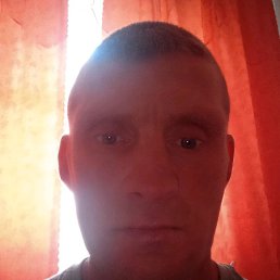 , 40, 