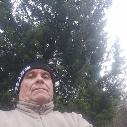 �������, ������, 52 ����