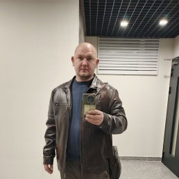 ����, 41 ���, ����