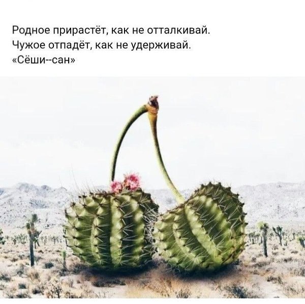 ]{@ - 5  2025  00:09