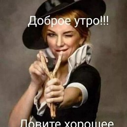 �����, 44 ����, �������