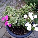  ,  -  3  2025   Beregszasz_2024