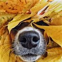 ���� ���, �������� - ��������� 1 ������� 2025 � ������ ������ ��������