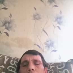 , 44, 