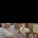 ���� ������ � ������, ������, 52 ���� - ��������� 10 ������� 2026 � ������ ���� ����������