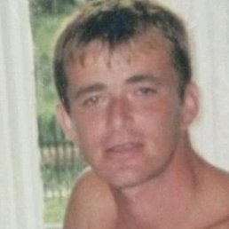 ������� �����������, ���������, 41 ���