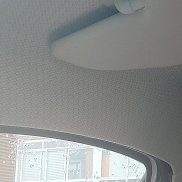 , 31 , 