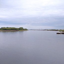 ����, ������ ��������, 50 ���