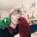 ���� �����, ������, 56 ��� - ��������� 15 ������ 2025 � ������ ���� ����������