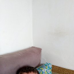 , 41, -