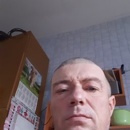 , 44, 