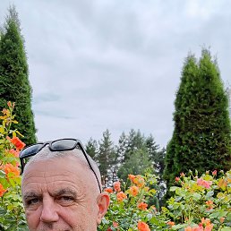 , 54, 