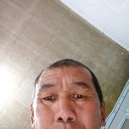 , 48, 